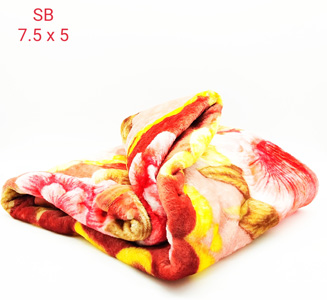 Blanket - 1264